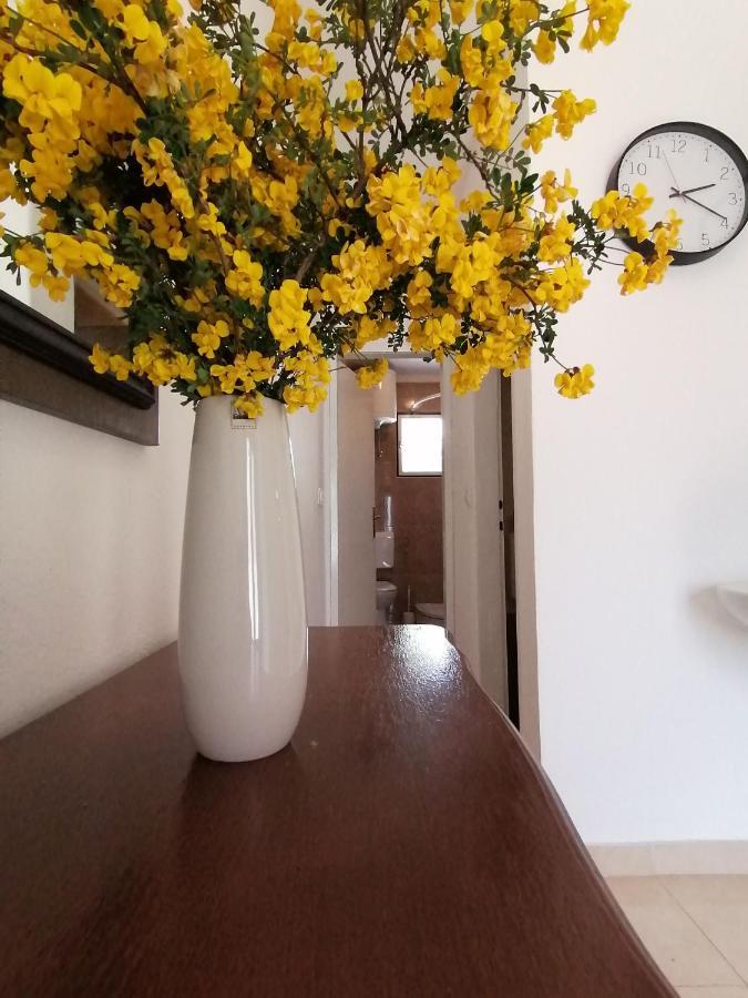 Apartment Borovi With Terrace And Parking Podaca Luaran gambar